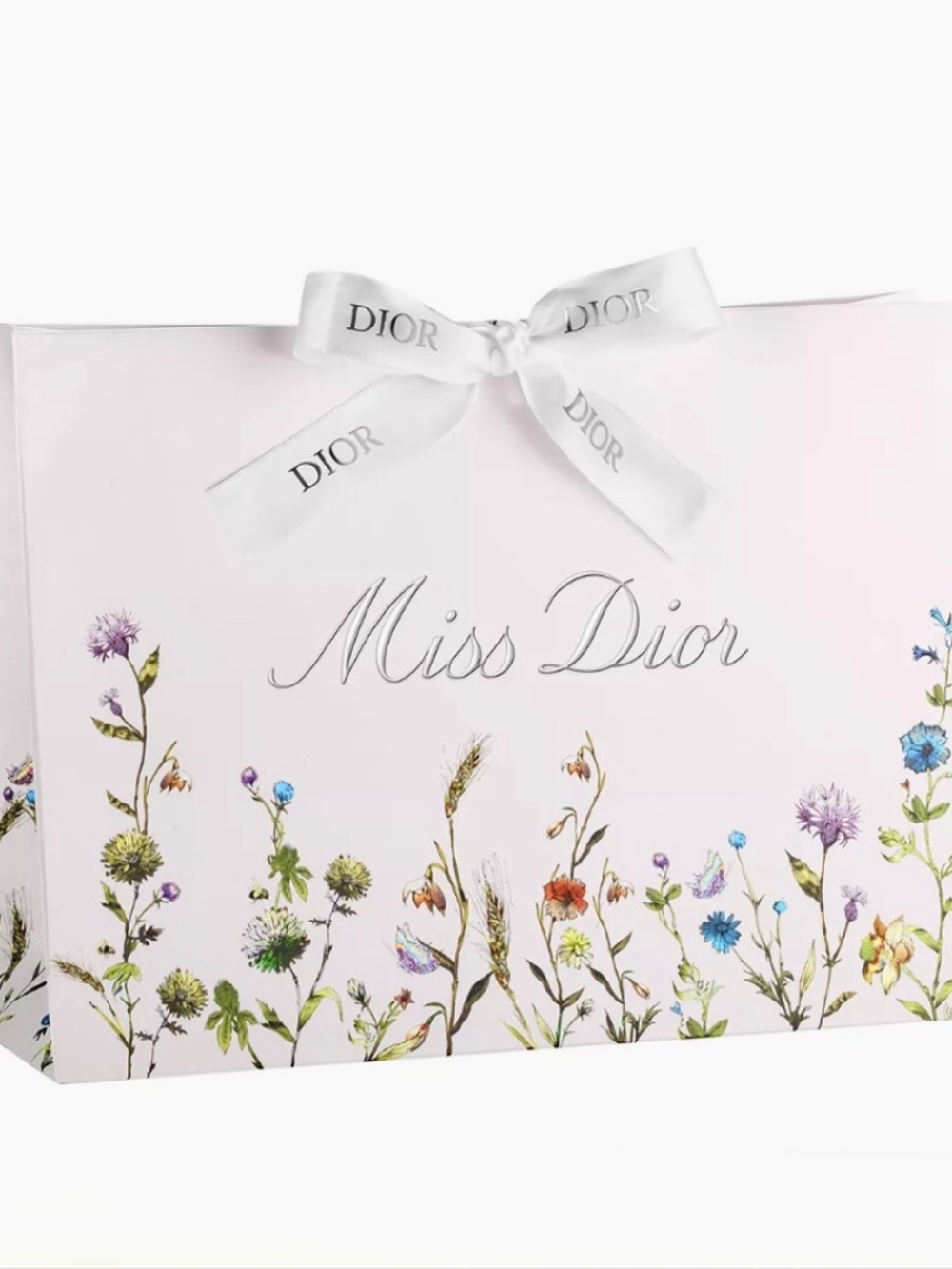 Miss DIOR Wild Flowers Print Collapsible Gift Bag with Ribbon Closure *NEW*